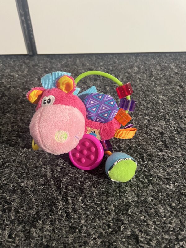 Hochet Playgro