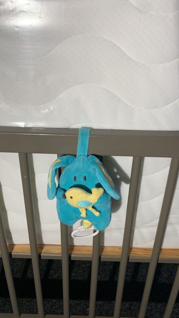 Peluche musicale