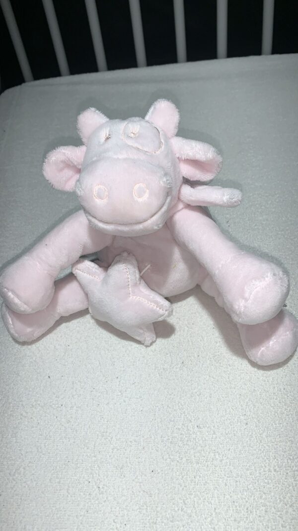 Peluche musicale Noukie's
